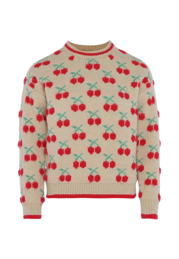 MYMO MYMO Пуловер  тъмнобежово / светлозелено / червено