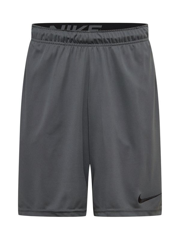 NIKE NIKE Спортен панталон '6.0'  сиво