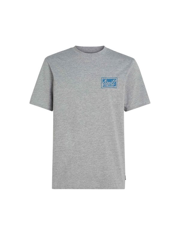 O'NEILL O'NEILL Тениска 'Beach Graphic'  синьо / сив меланж