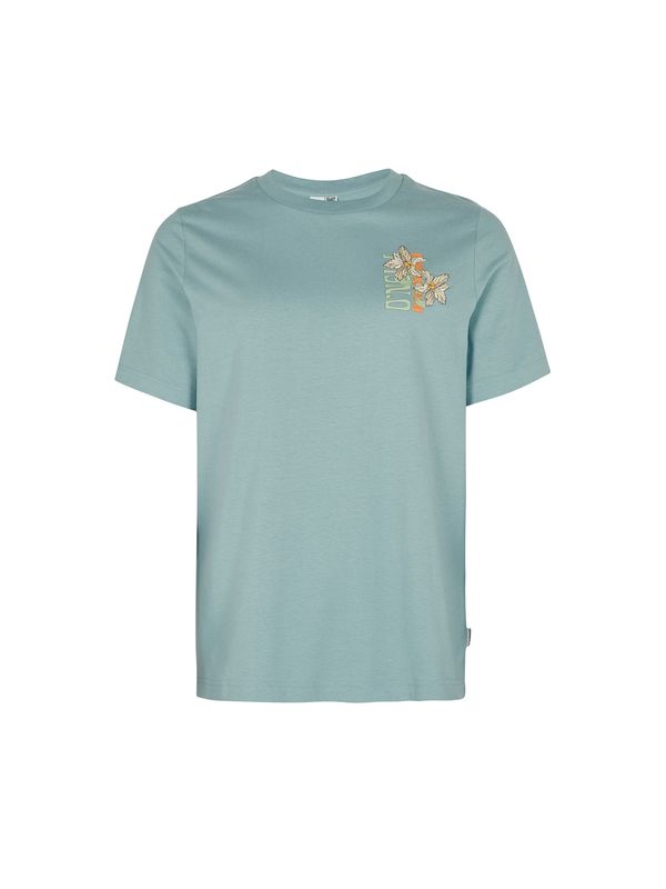 O'NEILL O'NEILL Тениска  синьо / кафяво / кестеняво кафяво