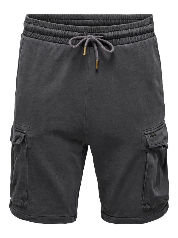 Only & Sons Only & Sons Карго панталон 'Nicky'  сиво