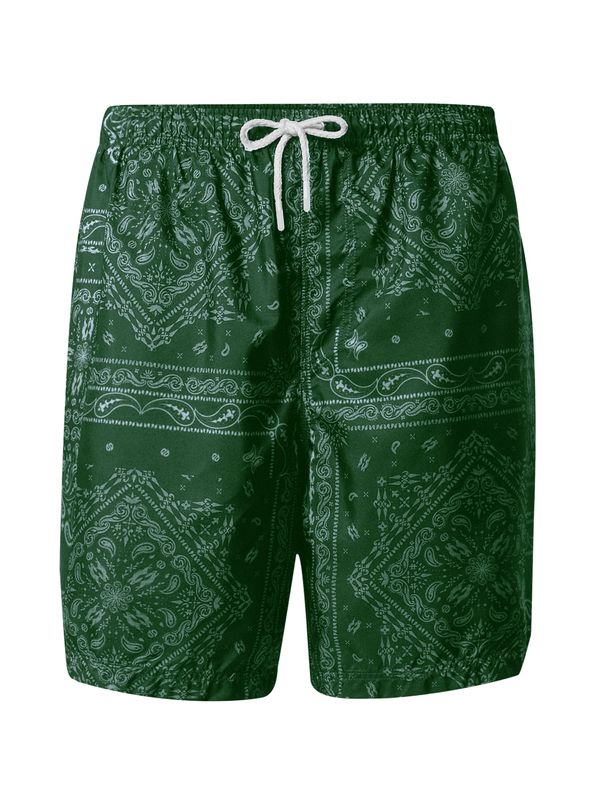 Pacemaker Pacemaker Шорти за плуване 'James'  пастелно зелено / тъмнозелено