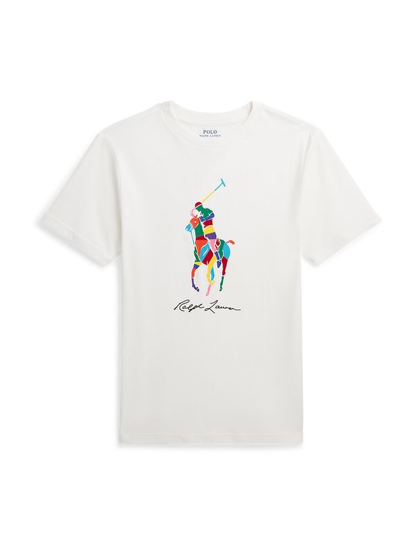 Polo Ralph Lauren Polo Ralph Lauren Тениска  синьо / жълто / зелено / бяло