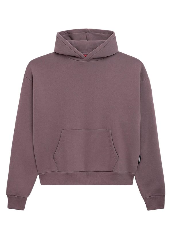 Prohibited Prohibited Суичър  къпина