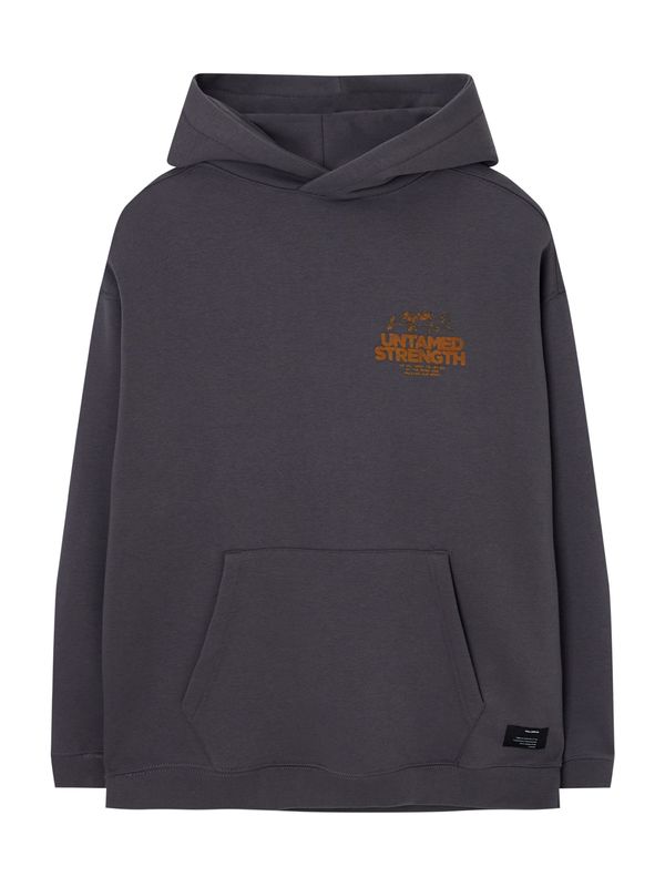 Pull&Bear Pull&Bear Суичър  ръждиво кафяво / тъмносиво