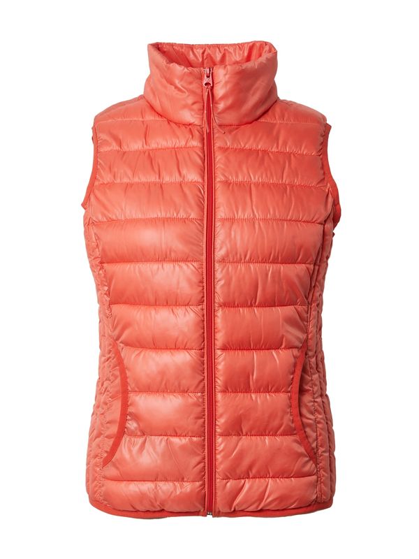 QS QS Елек  корал