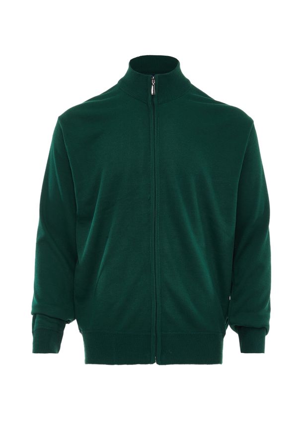 RAIDO RAIDO Плетена жилетка  зелено