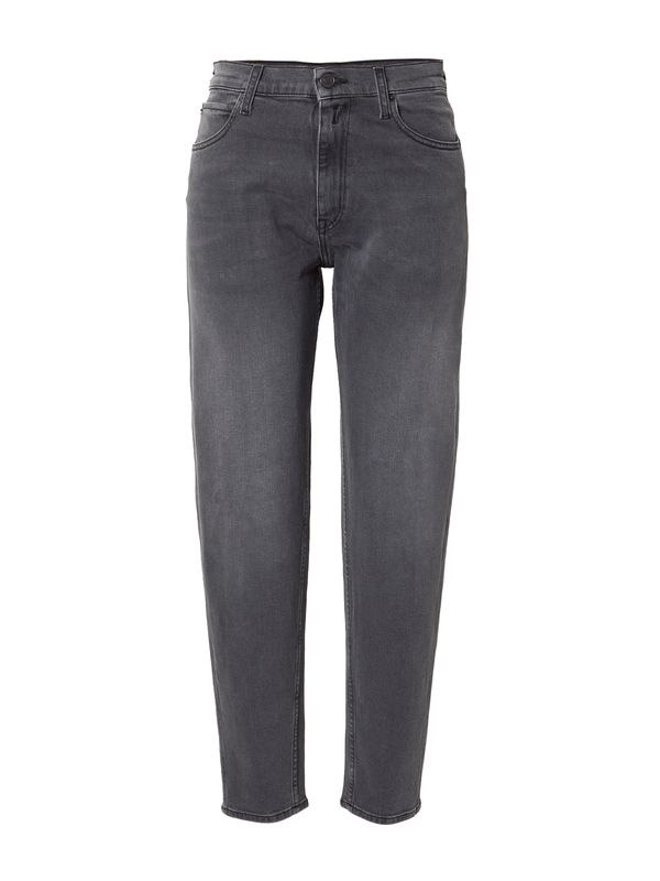 REPLAY REPLAY Дънки 'KEIDA'  сив деним