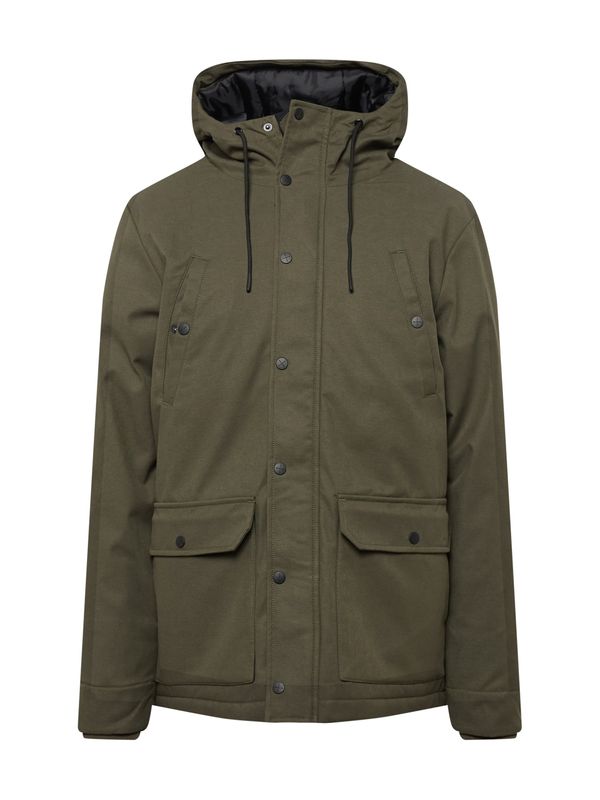 Revolution Revolution Преходна парка 'Alpine'  маслина