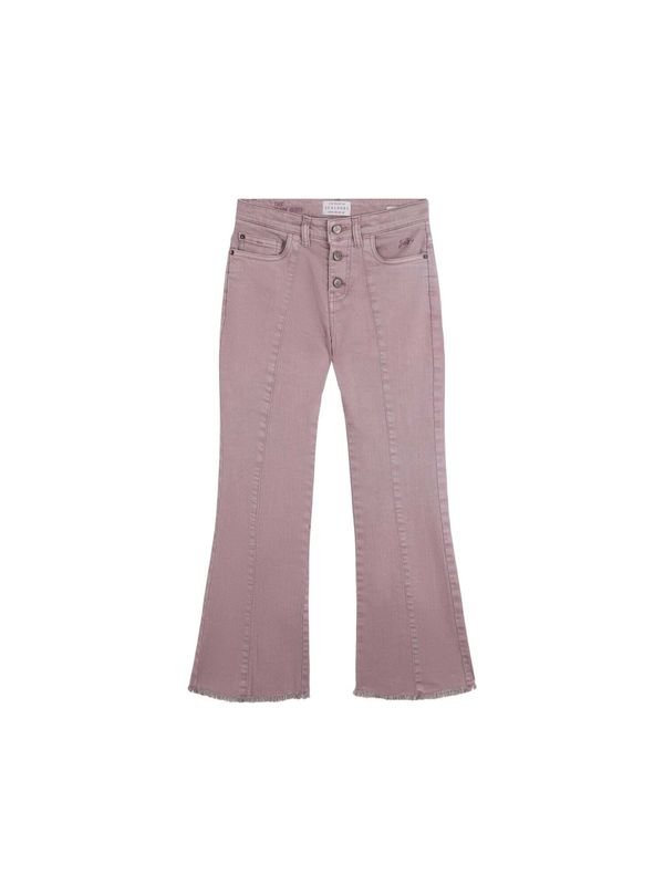 Scalpers Scalpers Панталон  пепел от рози