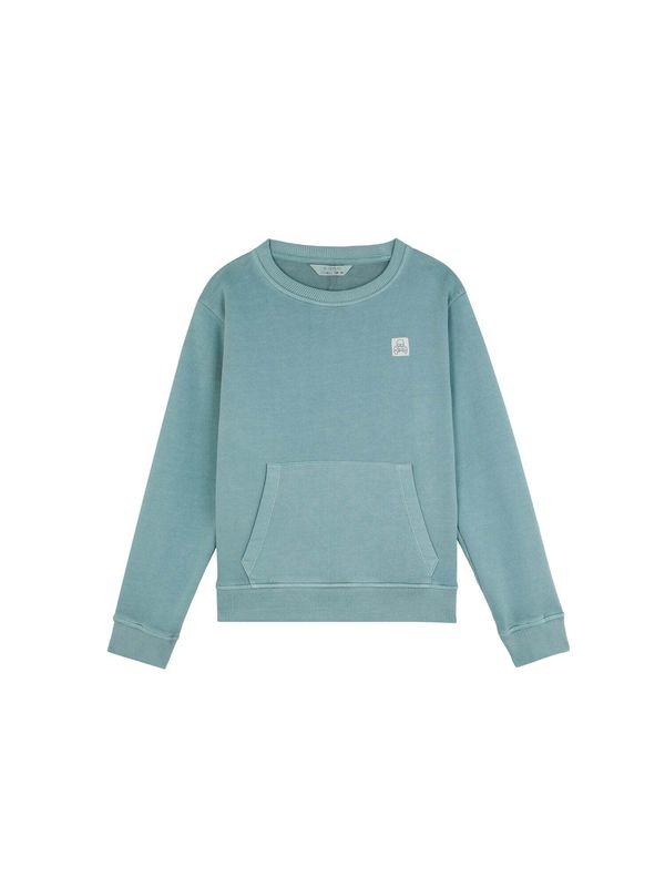 Scalpers Scalpers Суичър 'Haiti'  светлосиво / зелено