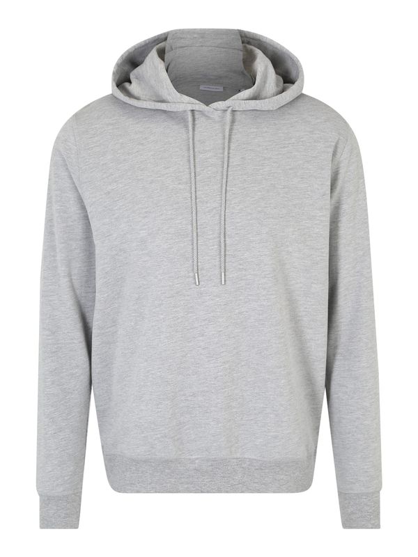 SEIDENSTICKER SEIDENSTICKER Суичър 'Schwarze Rose'  сиво