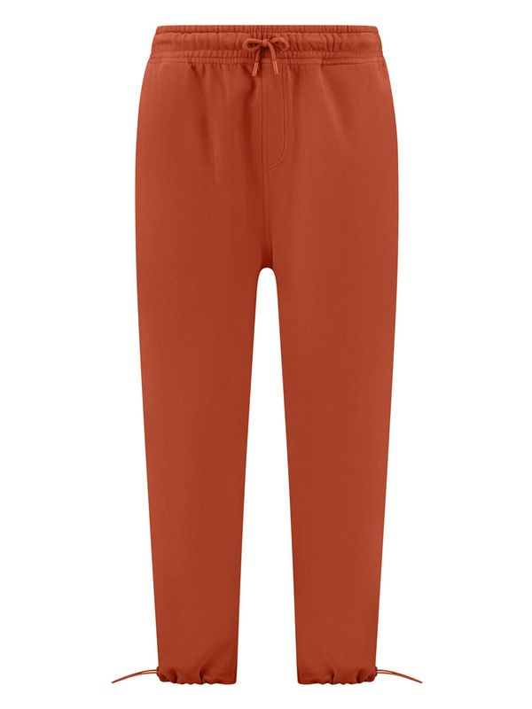 Shiwi Shiwi Панталон  кестеняво кафяво