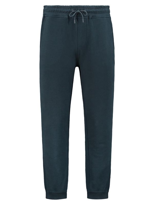 Shiwi Shiwi Панталон  нейви синьо