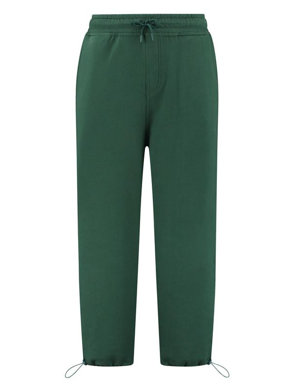 Shiwi Shiwi Панталон  смарагдово зелено