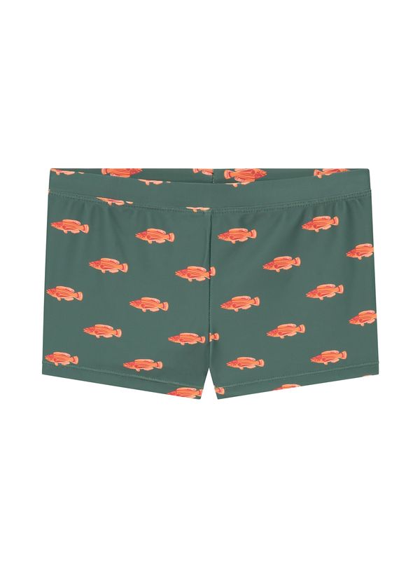 Shiwi Shiwi Шорти за плуване  зелено / оранжево