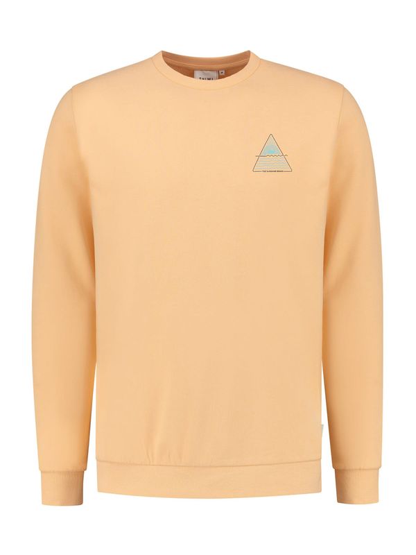 Shiwi Shiwi Суичър  аквамарин / праскова / черно