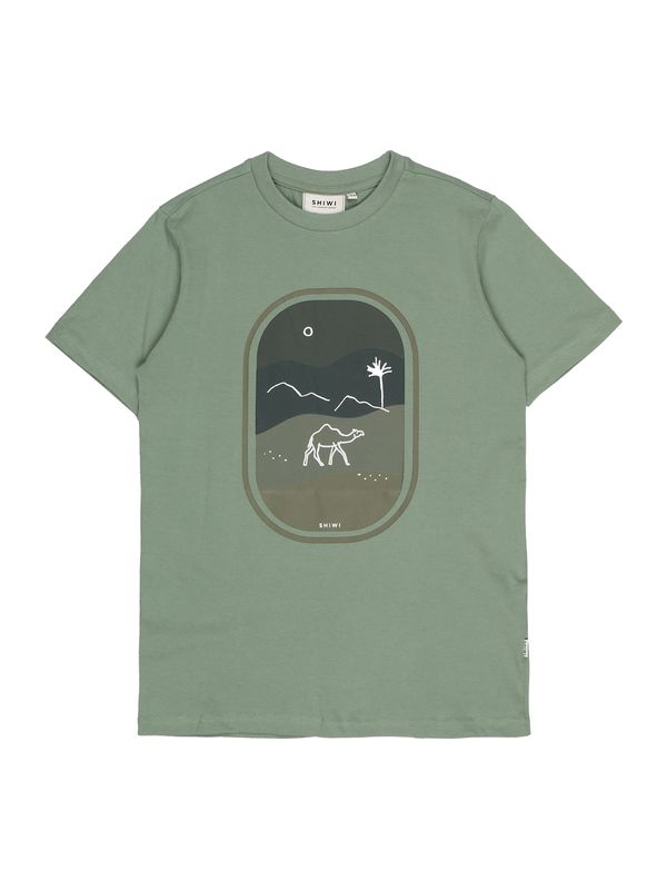 Shiwi Shiwi Тениска  зелено / маслина / тъмнозелено / бяло