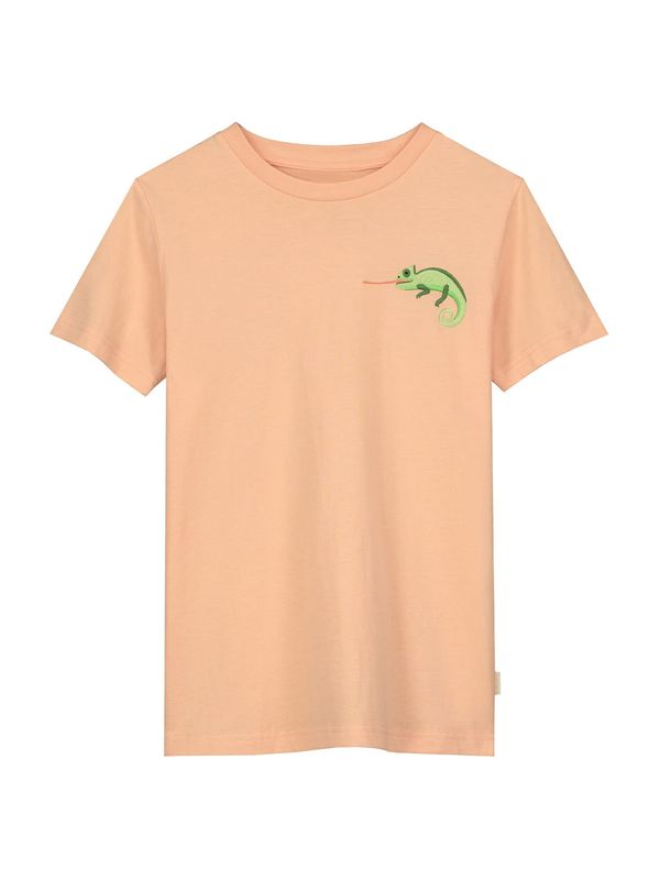 Shiwi Shiwi Тениска  зелено / тъмнозелено / светлооранжево