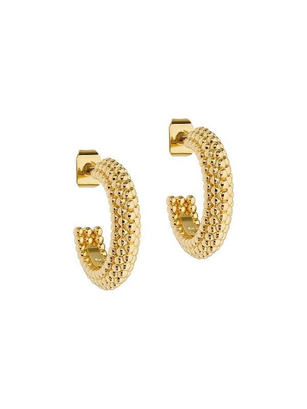 Ted Baker Ted Baker Обеци 'DOTETTA'  злато