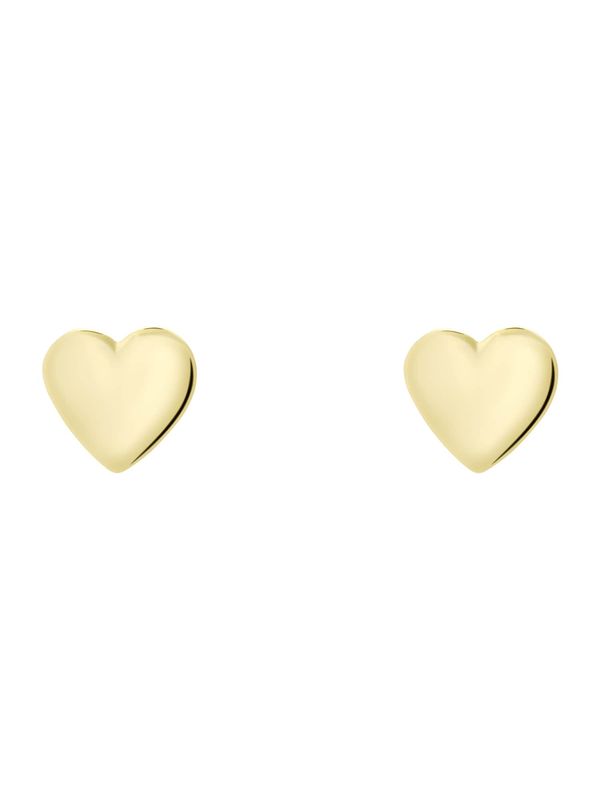 Ted Baker Ted Baker Обеци 'Harly'  злато