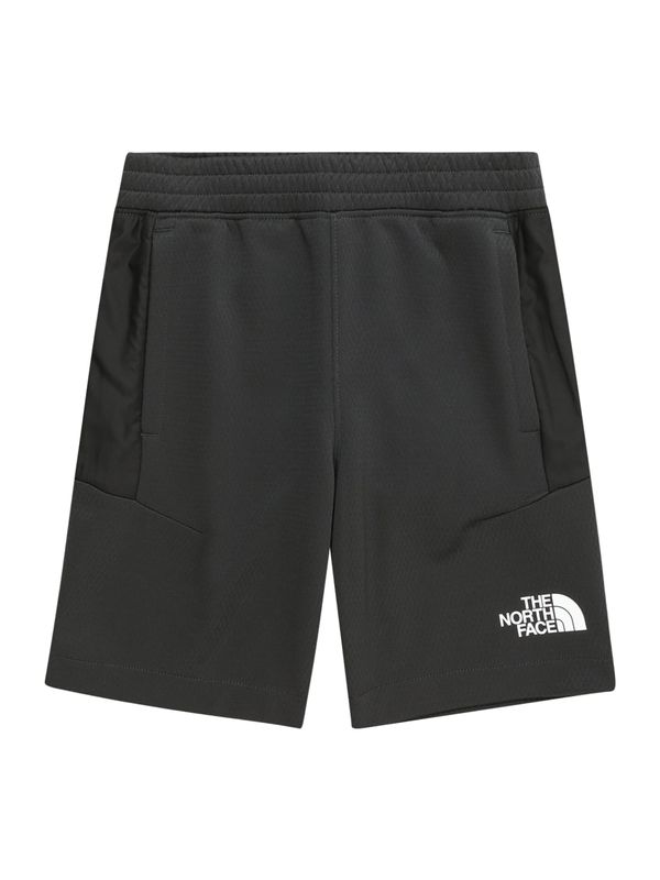 THE NORTH FACE THE NORTH FACE Outdoor панталон 'MOUNTAIN'  антрацитно черно