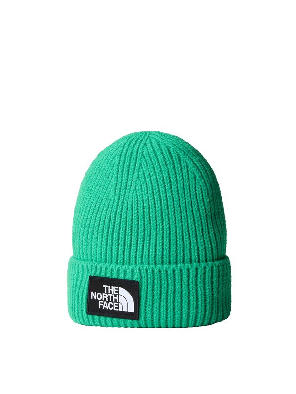 THE NORTH FACE THE NORTH FACE Спортен каскет  зелено / винено червено / черно