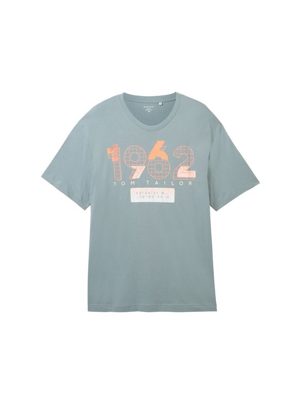 TOM TAILOR Men + TOM TAILOR Men + Тениска  бежово / сиво / оранжево / бяло