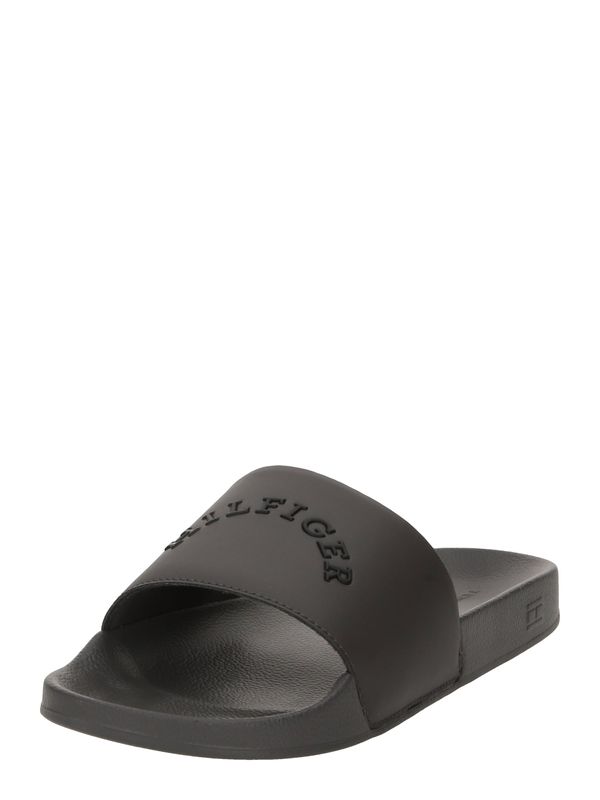 TOMMY HILFIGER TOMMY HILFIGER Чехли  антрацитно черно