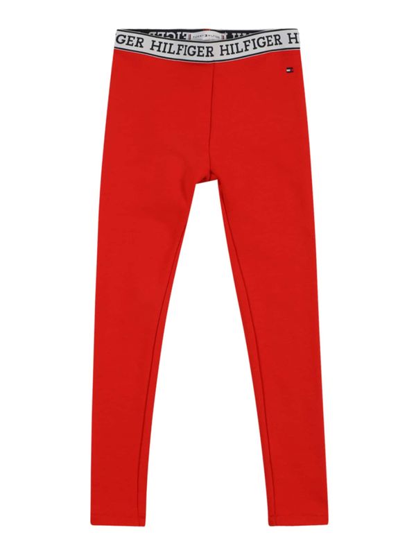 TOMMY HILFIGER TOMMY HILFIGER Клин  нейви синьо / сиво / червено / бяло