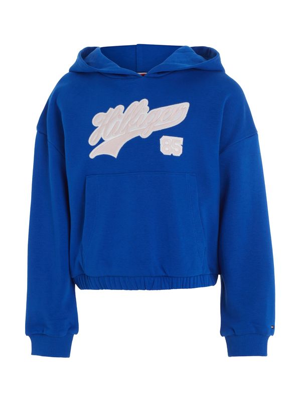 TOMMY HILFIGER TOMMY HILFIGER Суичър  кралско синьо / опушено синьо / бледорозово