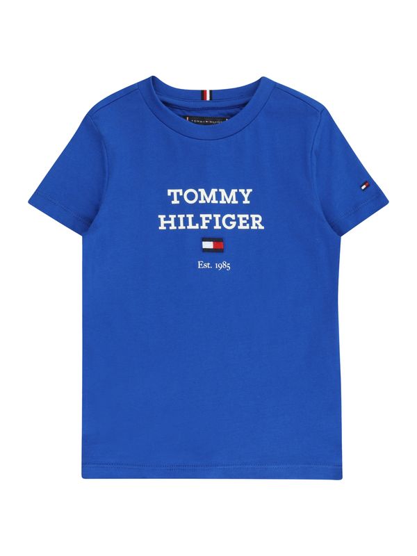 TOMMY HILFIGER TOMMY HILFIGER Тениска  нейви синьо / кралско синьо / червено / бяло