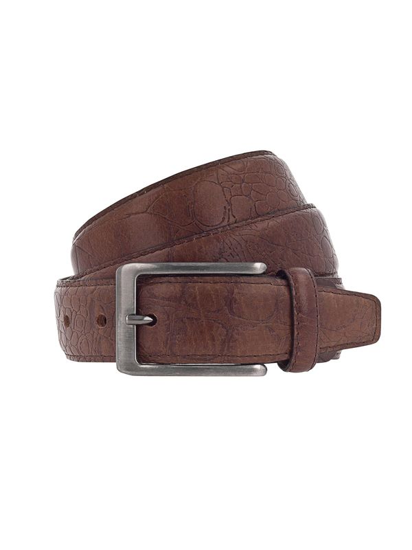 VANZETTI VANZETTI Колан  тъмнокафяво