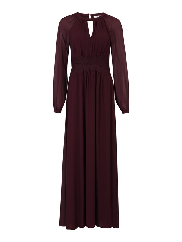 VILA VILA Вечерна рокля 'Milina'  бордо