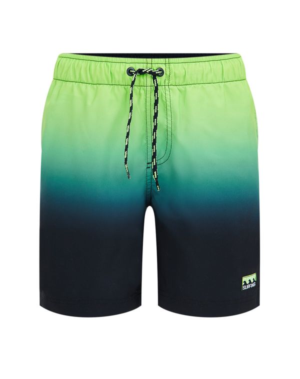 WE Fashion WE Fashion Бански гащета  зелен меланж