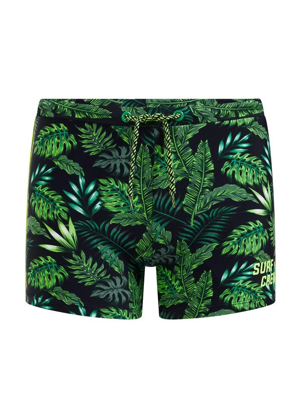 WE Fashion WE Fashion Бански гащета  зелено / смарагдово зелено / черно