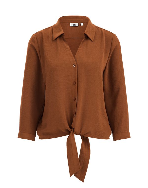 WE Fashion WE Fashion Блуза  кафяво