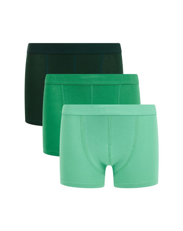 WE Fashion WE Fashion Долни гащи  зелено / мента / елхово зелено