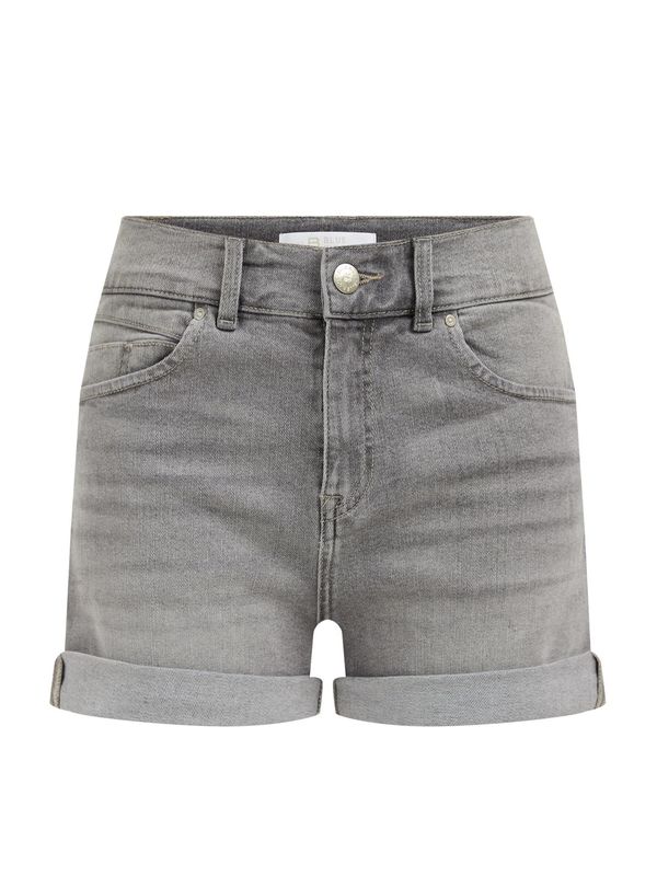 WE Fashion WE Fashion Дънки  сив деним