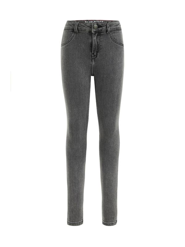 WE Fashion WE Fashion Дънки  сив деним