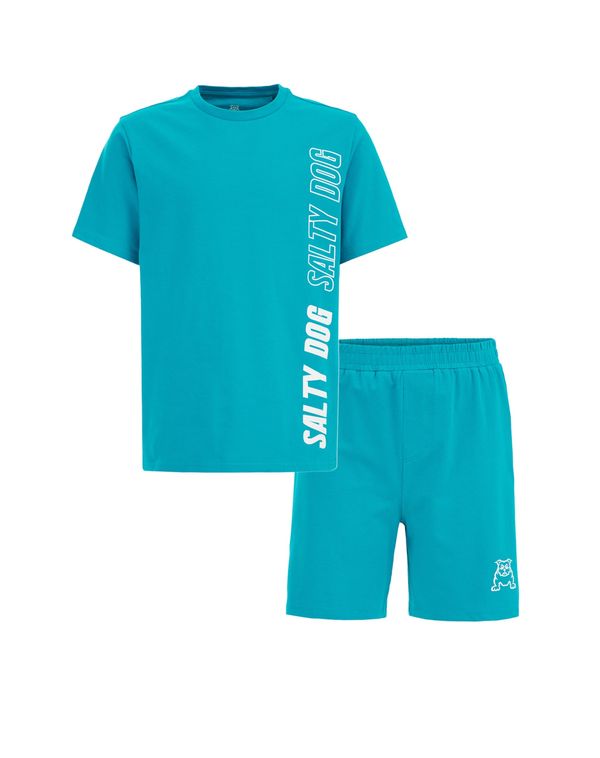 WE Fashion WE Fashion Комплект пижама  тюркоазен / бяло