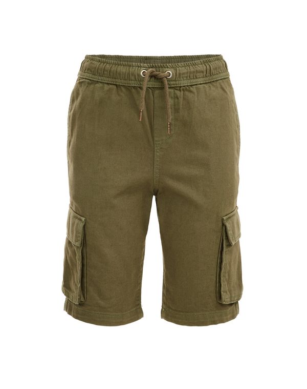 WE Fashion WE Fashion Панталон  каки