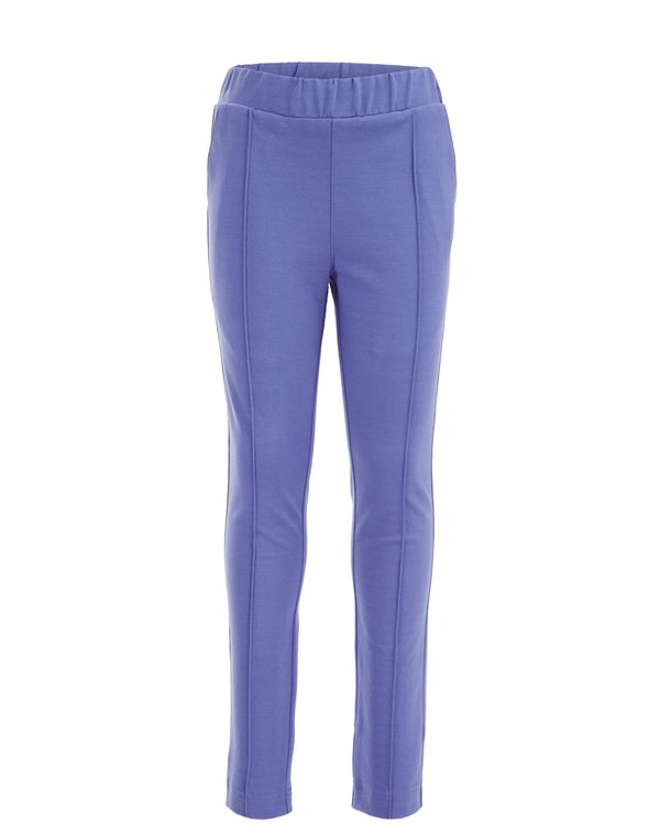 WE Fashion WE Fashion Панталон  лилав