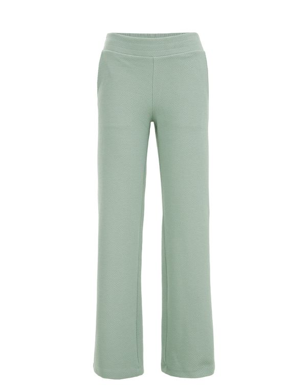 WE Fashion WE Fashion Панталон  мента