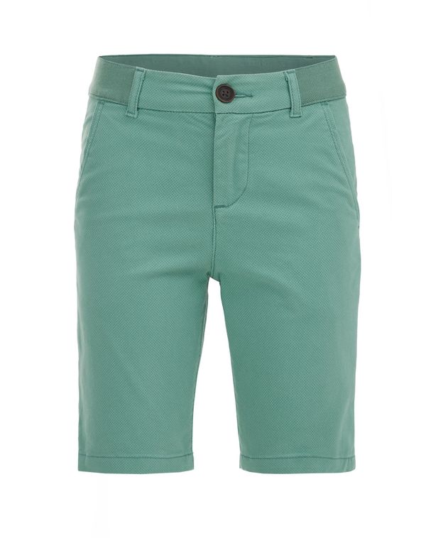 WE Fashion WE Fashion Панталон  мента