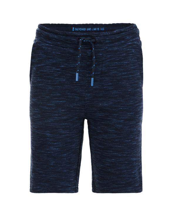 WE Fashion WE Fashion Панталон  морскосиньо