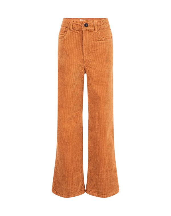 WE Fashion WE Fashion Панталон  оранжево