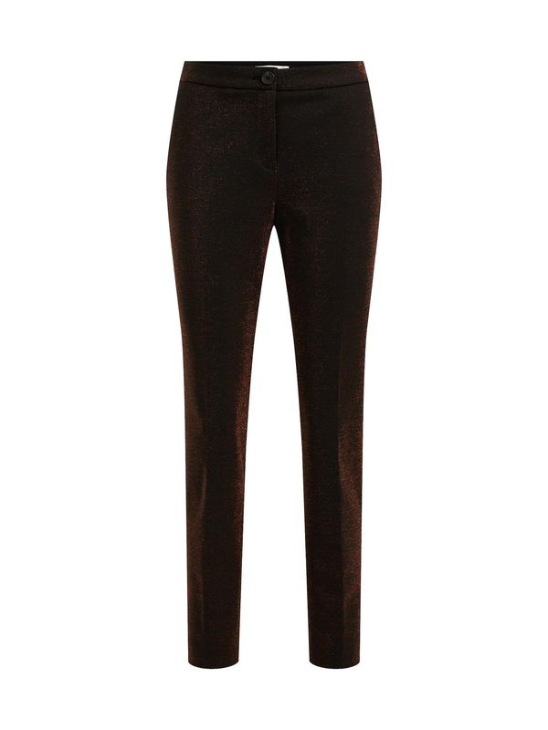 WE Fashion WE Fashion Панталон с ръб  тъмнокафяво