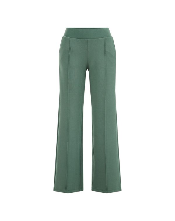 WE Fashion WE Fashion Панталон с ръб  зелено