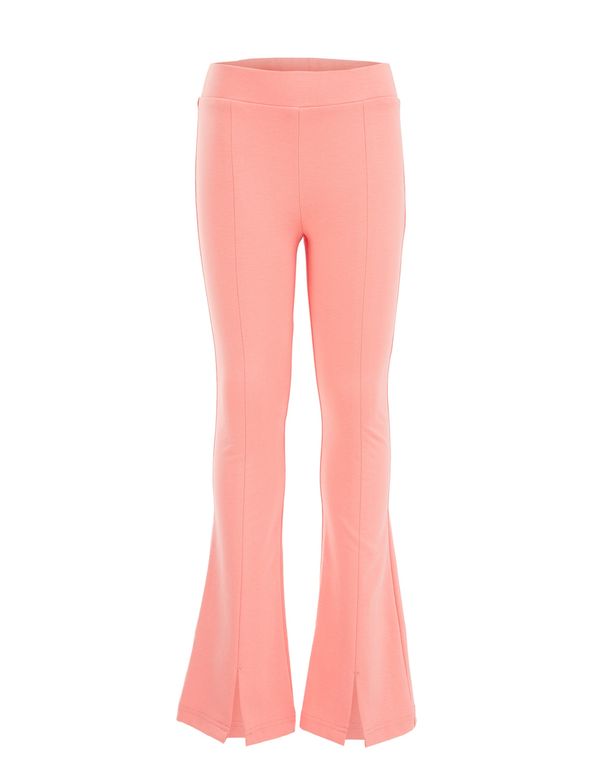 WE Fashion WE Fashion Панталон  сьомга